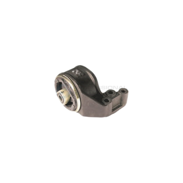Poduszka silnika Professional Parts 62431049