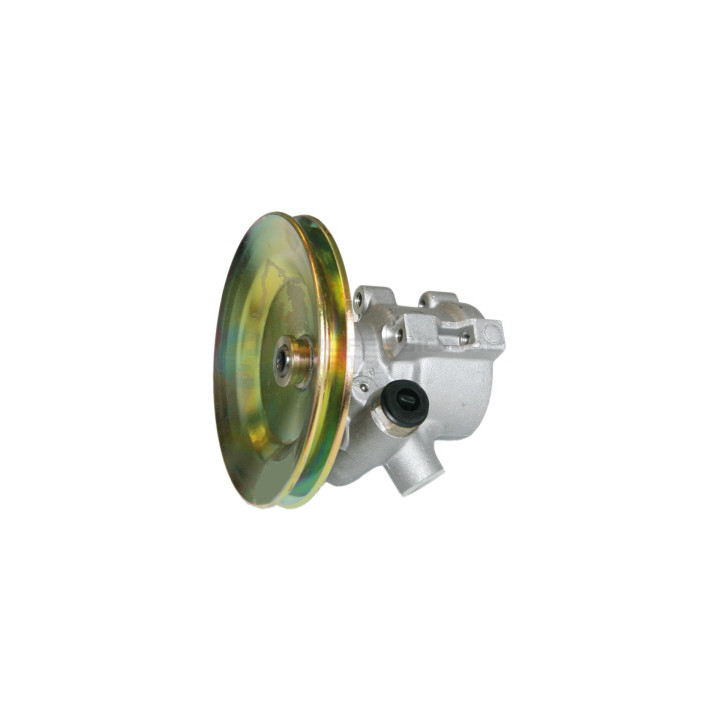 Pompa wspomagania Professional Parts 61439754