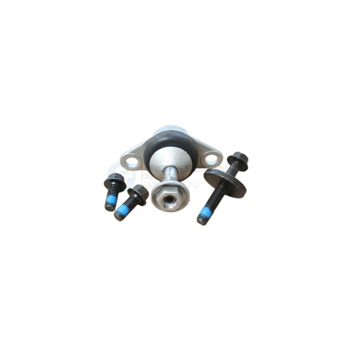 Sworzeń wahacza Professional Parts 61430350