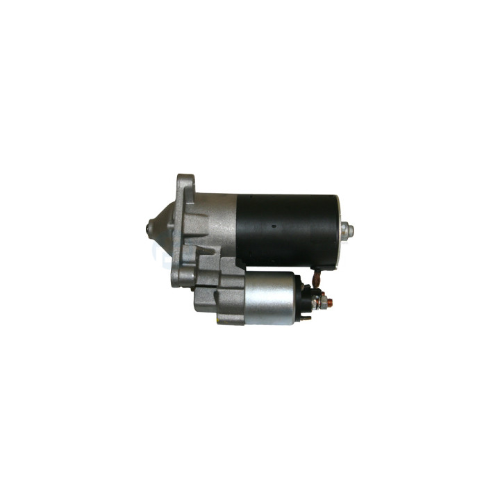 Rozrusznik Professional Parts 28431827