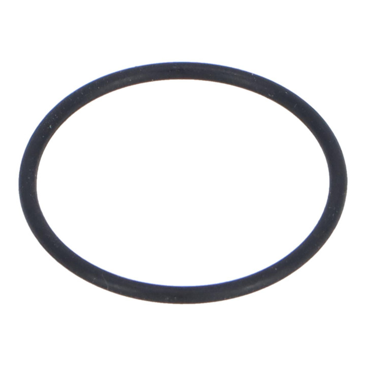 O-ring Volvo (978111)
