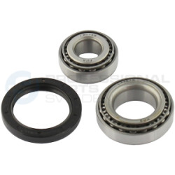 Piasta łożysko koła Professional Parts 77433747