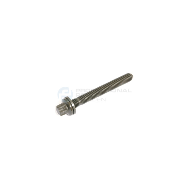 Śruba głowicy cylindrów Professional Parts 21438871