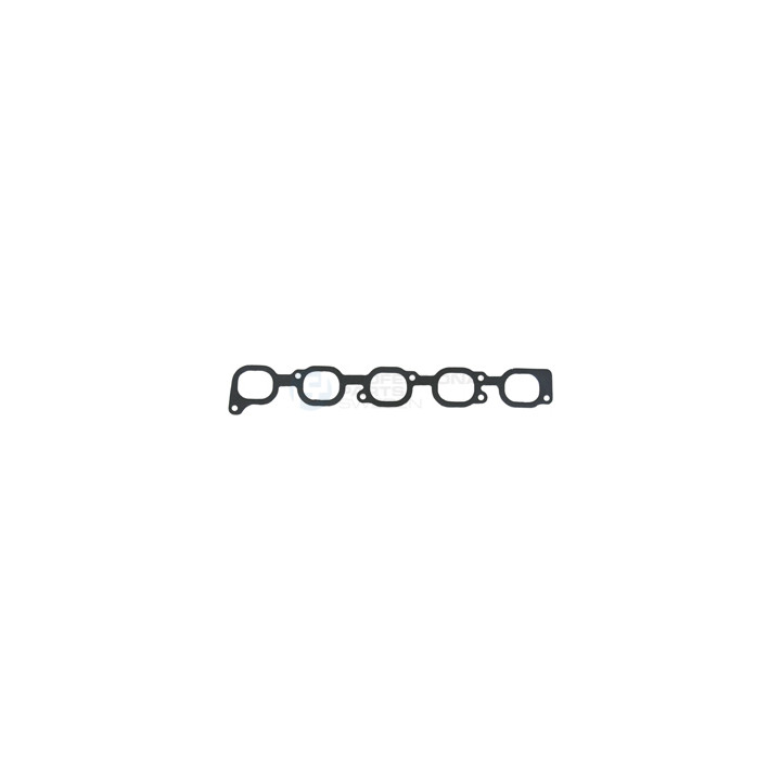 Uszczelka kolektora ssącego dolotowego Professional Parts 21435055