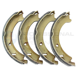 Zestaw szczęk hamulcowych Professional Parts 55436881