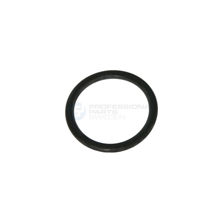 Uszczelka termostatu Professional Parts 21435455