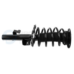 Zestaw zawieszenia sprężyna i amortyzator Professional Parts 72432171C