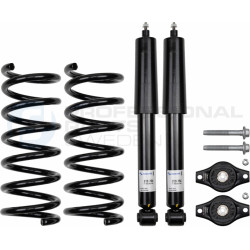 Zestaw zawieszenia sprężyna i amortyzator Professional Parts 72434221CHD