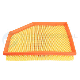 Filtr powietrza Professional Parts 24438022