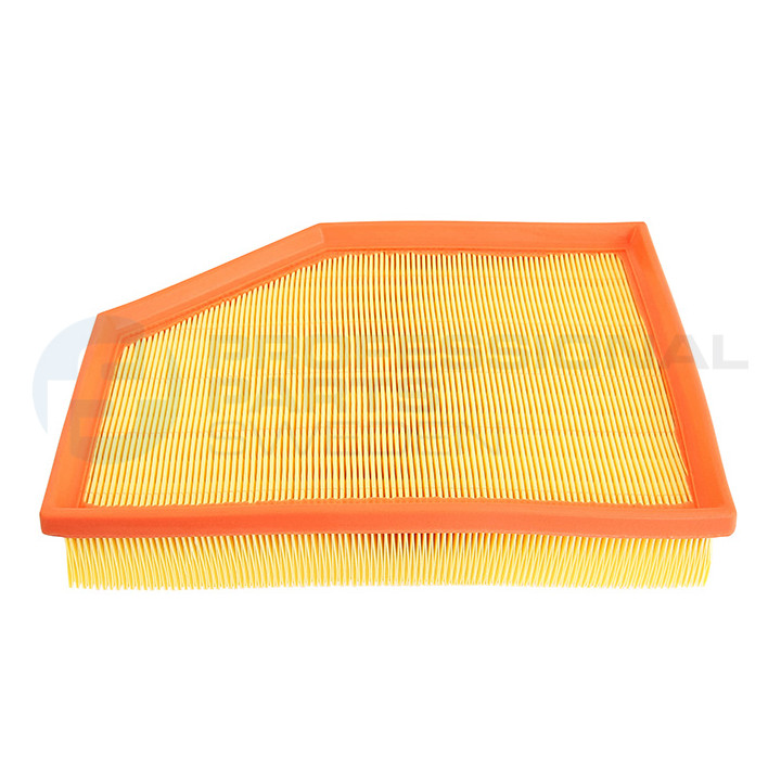 Filtr powietrza Professional Parts 24438022