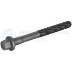 Śruba głowicy cylindrów Professional Parts 21437762