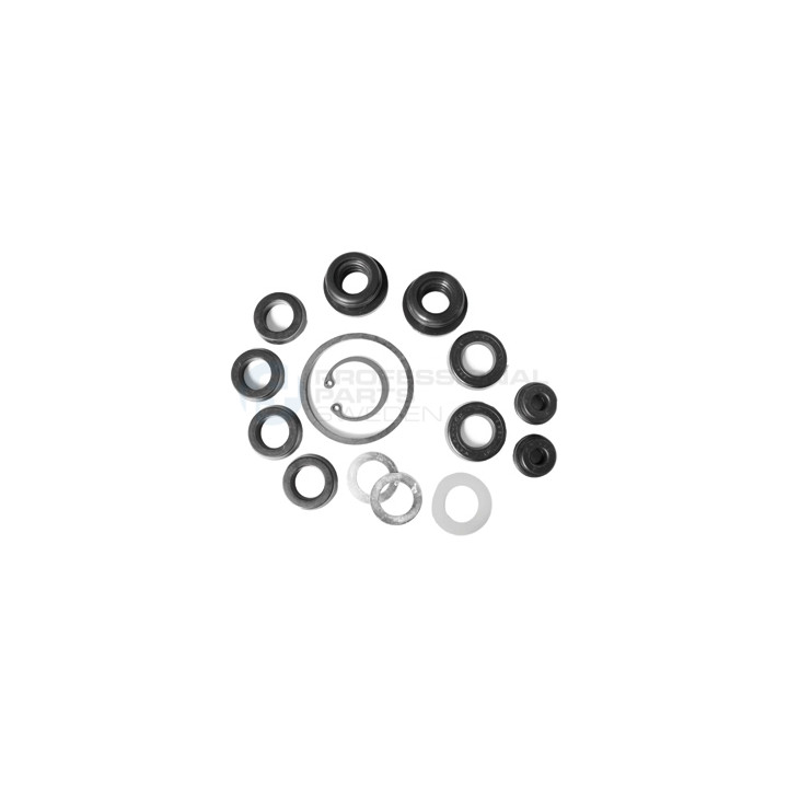 Zestaw naprawczy pompy hamulcowej Professional Parts 52433117