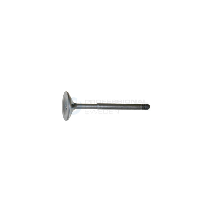 Zawór dolotowy Professional Parts 23434607