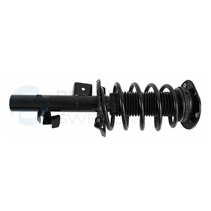 Zestaw zawieszenia sprężyna i amortyzator Professional Parts 72433748C