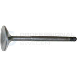 Zawór dolotowy Professional Parts 23431650