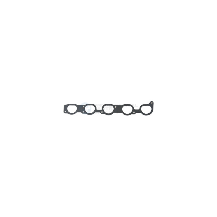 Uszczelka kolektora ssącego dolotowego Professional Parts 21438534