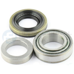 Piasta łożysko koła Professional Parts 77431262