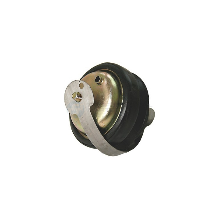 Poduszka silnika Professional Parts 62438657