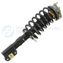 Zestaw zawieszenia sprężyna i amortyzator Professional Parts 72435817C