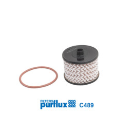 Filtr paliwa PURFLUX C489