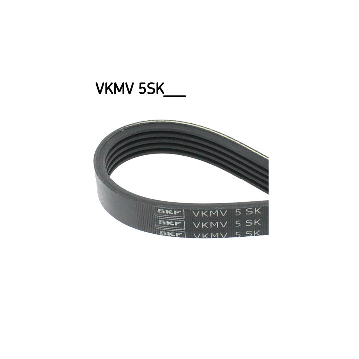 Pasek klinowy wielorowkowy SKF VKMV 5SK705