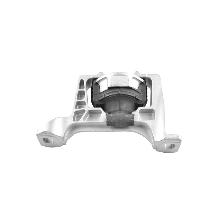 Poduszka silnika TEDGUM TED12824