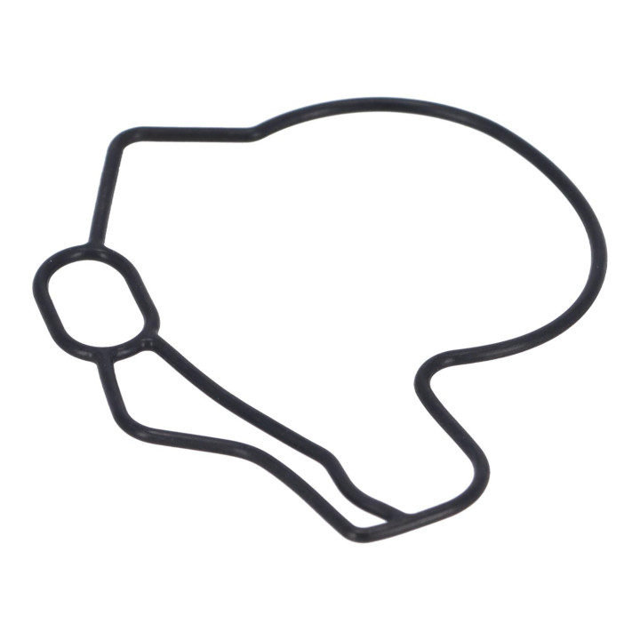 Gasket Volvo (30889411)