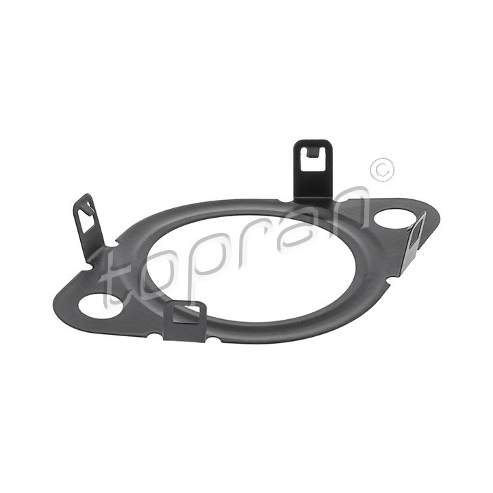 Uszczelka zaworu EGR TOPRAN 601 396