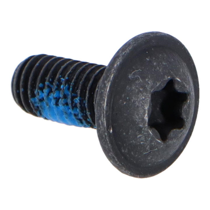 Screw Volvo (8618569)