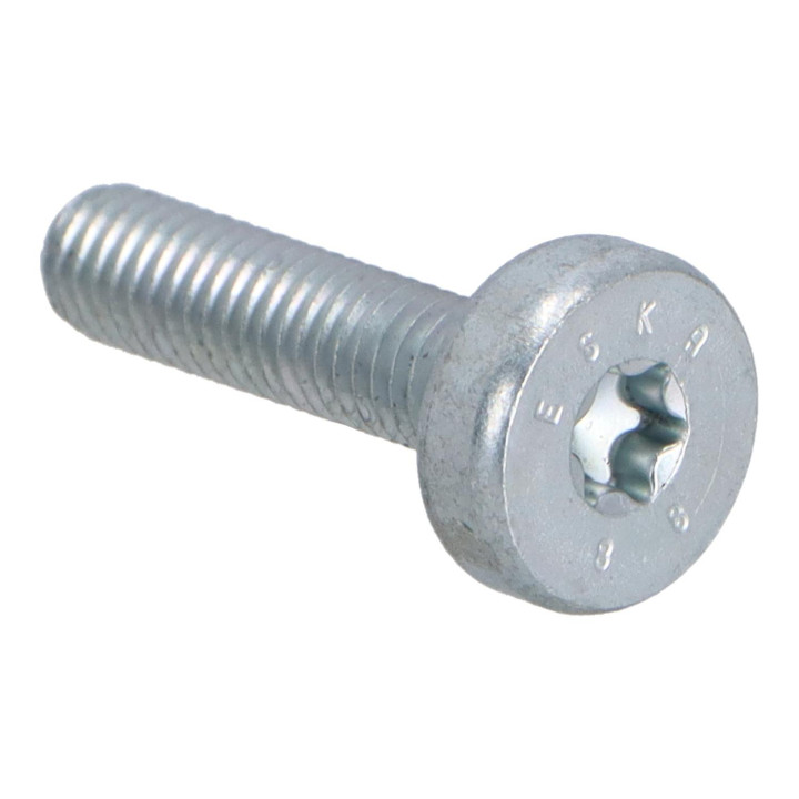 Six point socket screw Volvo (30624198)