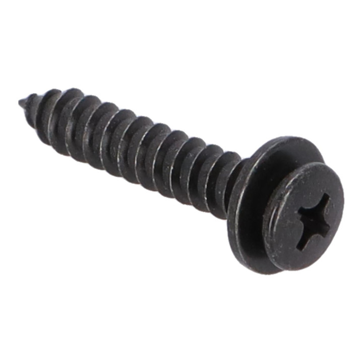Screw Volvo (30819676)