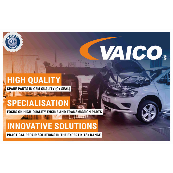 Sworzeń wahacza VAICO V25-0274
