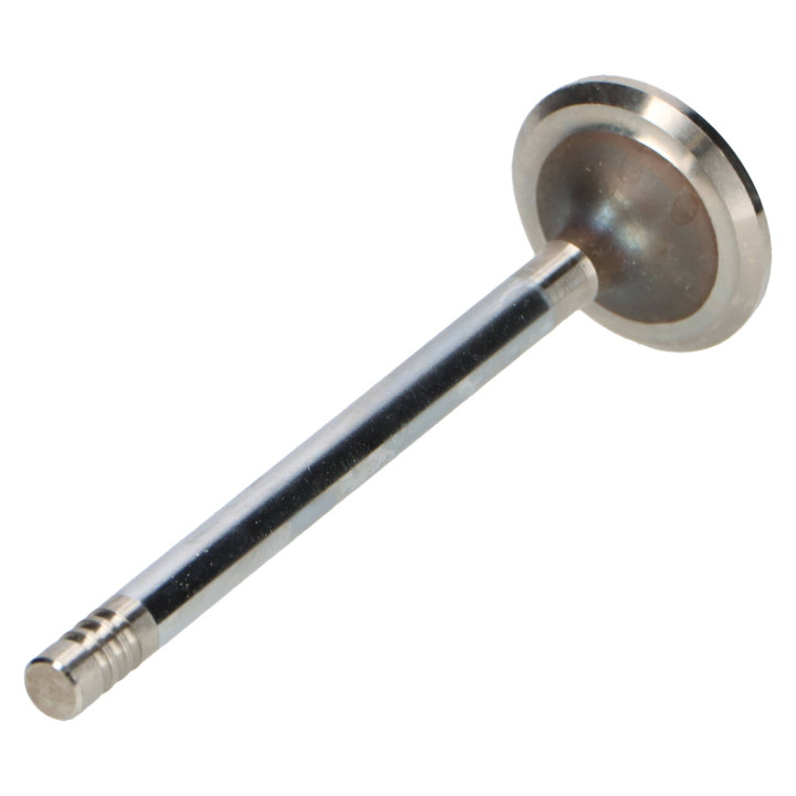 Exhaust valve Volvo (419735)