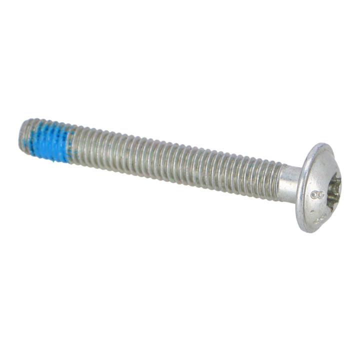 Six point socket screw Volvo (999320)