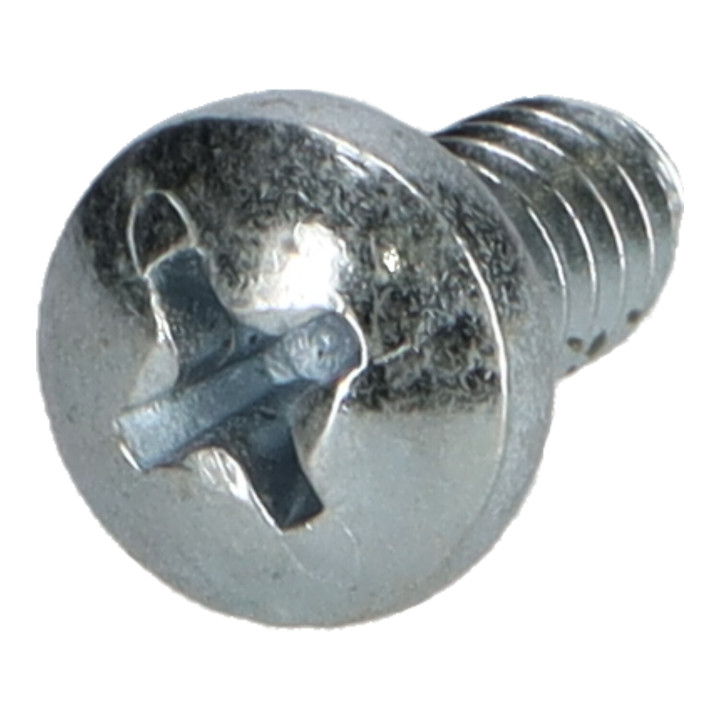 Screw Volvo (950020)