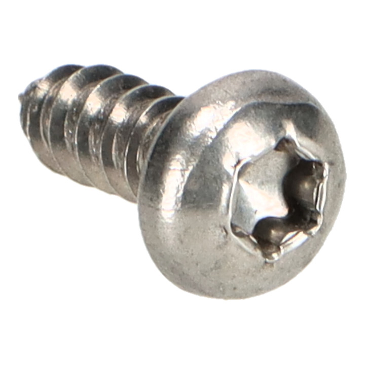Six point socket screw Volvo (972049)