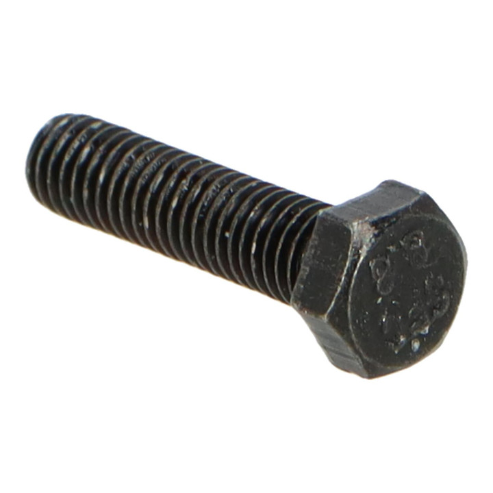 Hexagon screw Volvo (986956)