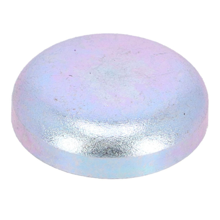 Cap plug Volvo (30720240)