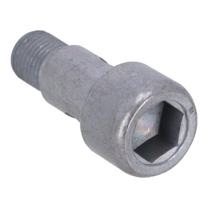 Hollow screw Volvo (30725224)