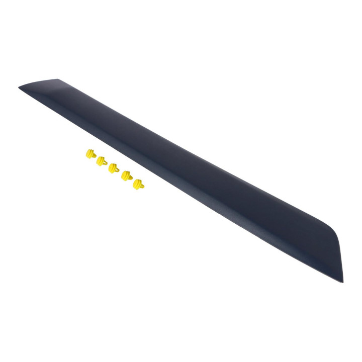 Trim moulding Volvo (39822651)