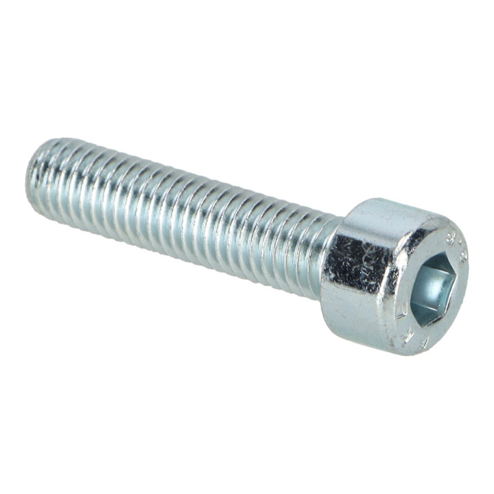 Hex. socket screw Volvo (959224)