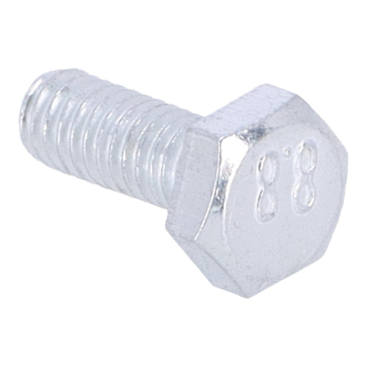Hexagon screw Volvo (955225)