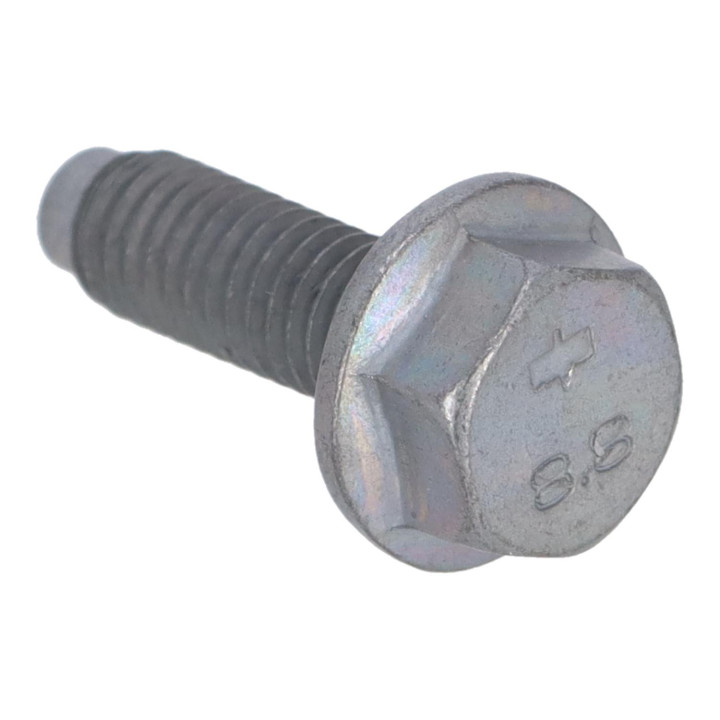 Flange screw Volvo (30725233)
