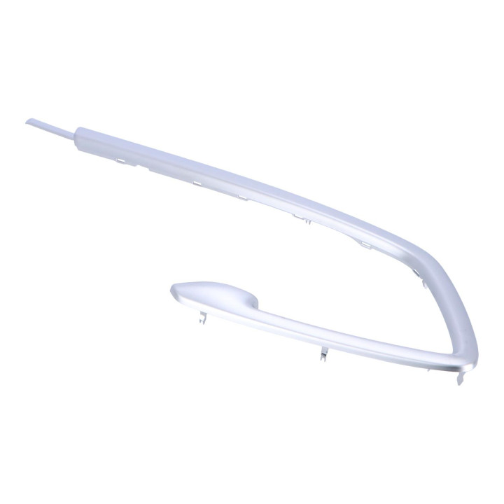 Trim strip Volvo (30781182)