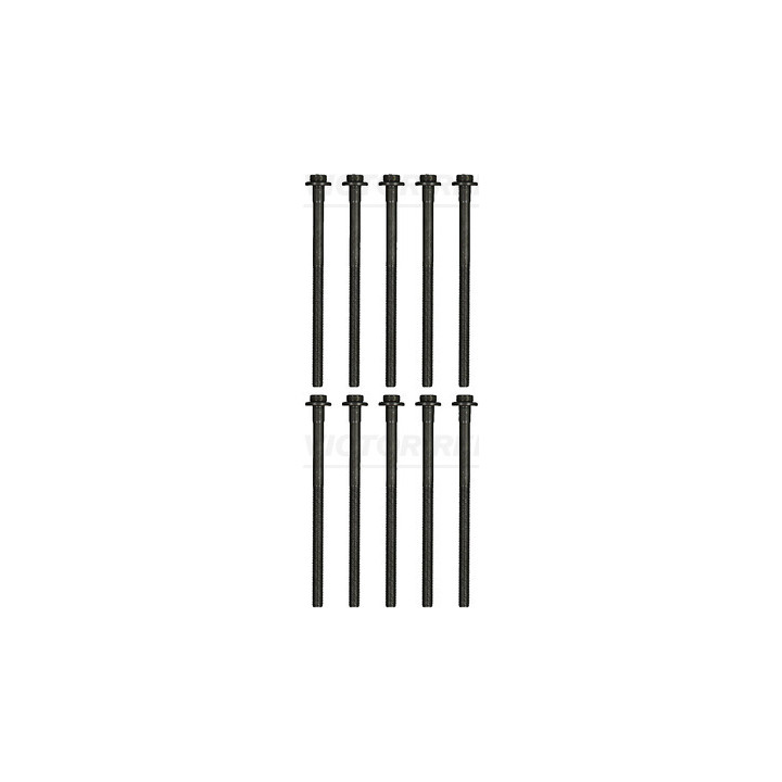 Zestaw śrub głowicy cylindrów VICTOR REINZ 14-10013-01