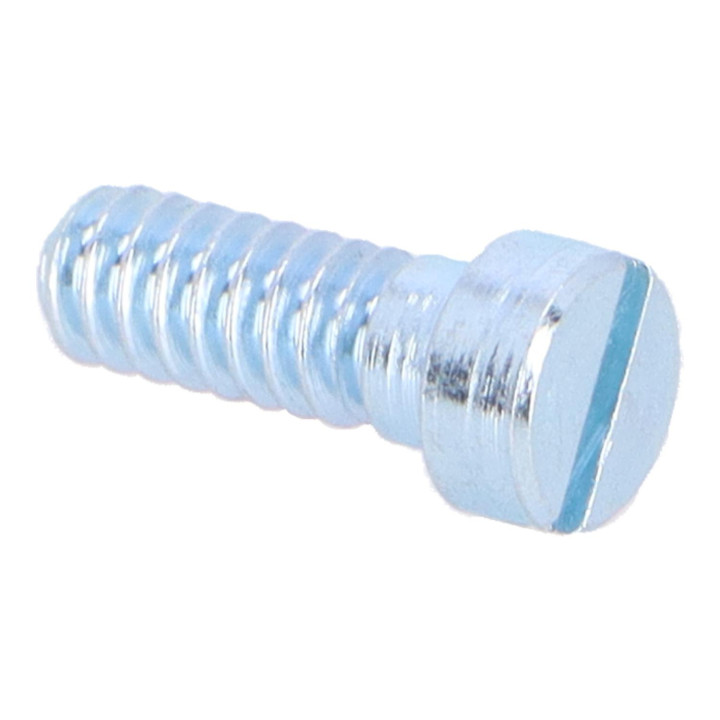 Screw Volvo (237084)