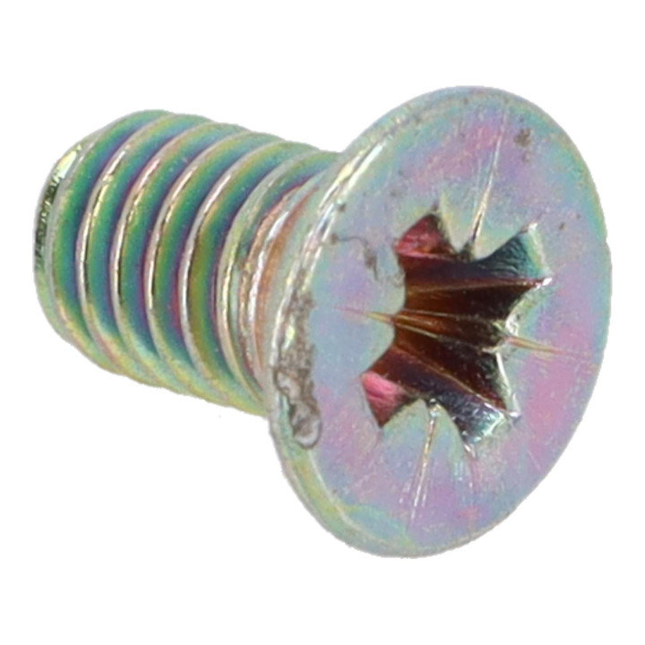 Screw Volvo (237285)