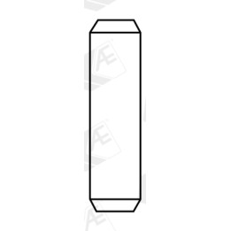 Prowadnica zaworu AE VAG96119