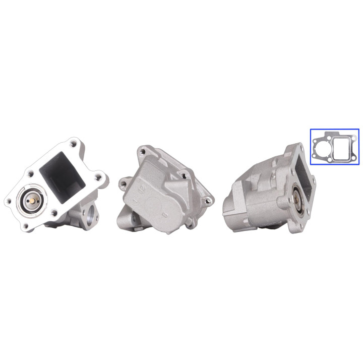 Zawór spalin EGR DRI 717720207