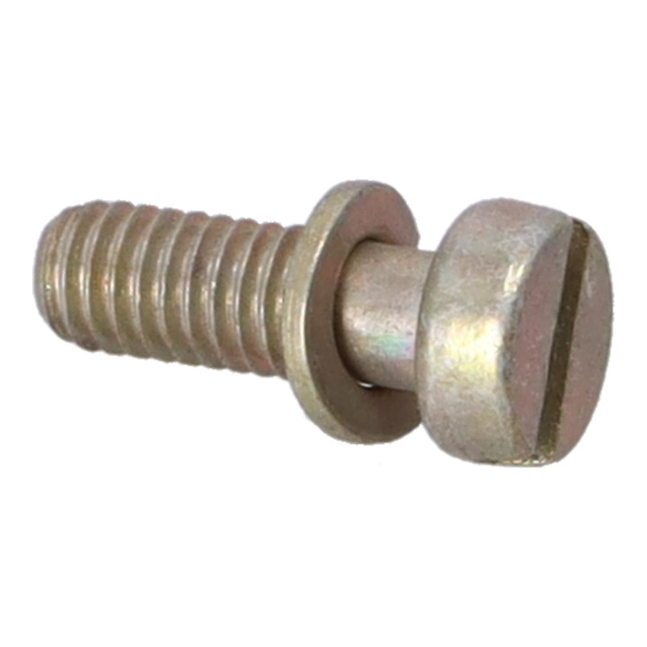 Screw Volvo (237768)